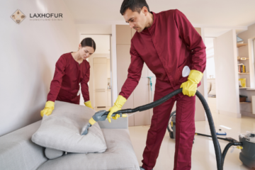 How to Remove Stains from Cushion Covers