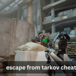 Escape from Tarkov Cheats: Risks and  Rewards 