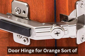 Door Hinge for Orange Sort of