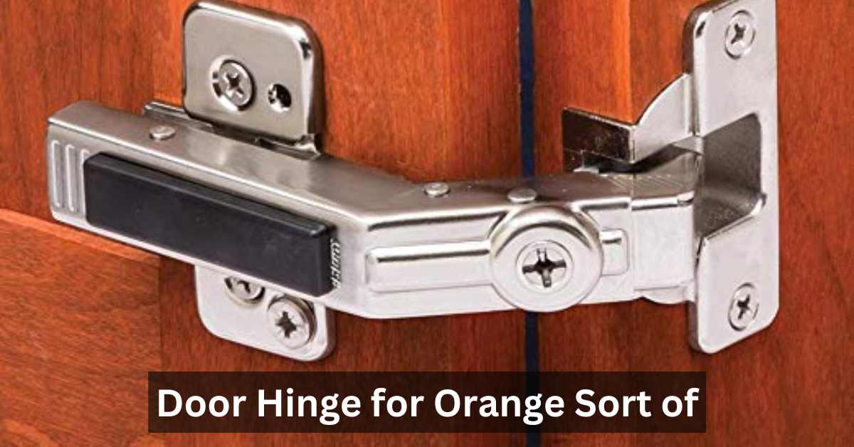 Door Hinge for Orange Sort of