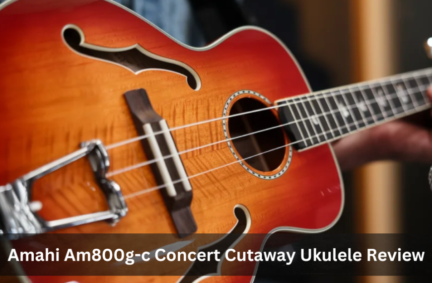 Amahi Am800g-c Concert Cutaway Ukulele Review